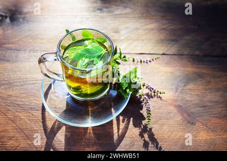 Tè alla menta piperita da foglie fresche e ramoscelli fioriti in una tazza di vetro, rinfresco e erboristeria su un tavolo rustico in legno, r Foto Stock