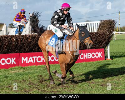 Terza gara a Wincanton 19 febbraio 2022 - Steeple Chase Foto Stock