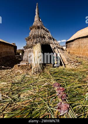 Ragazzo andino all'ingresso della casa fatto di canne di totora con uccelli morti che si seccano al sole per mangiare, sul lago Titicaca, Puno, Perù. Foto Stock