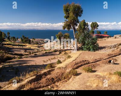 Fotografia paesaggistica del lago Titicaca dall'isola di Amantani, Puno, Perù Foto Stock