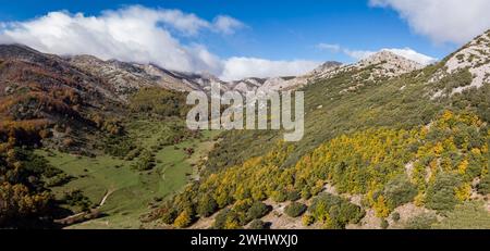 Valle di Tosande. Parco Naturale di Fuentes Carrionas Foto Stock