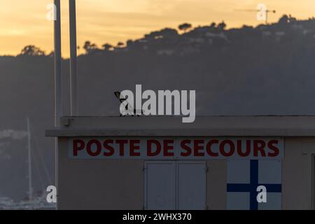 Stazione di guardia sulla spiaggia al tramonto. Foto di alta qualità Foto Stock
