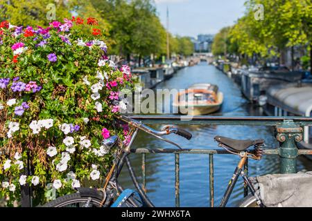 Amsterdam la città delle biciclette e dei fiori Foto Stock