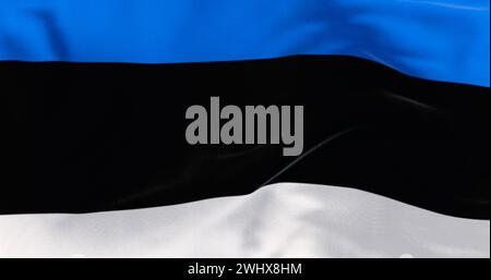 Primo piano della bandiera nazionale dell'Estonia che sventola nel vento Foto Stock