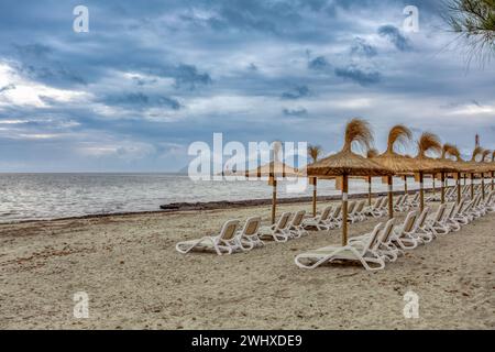 Spiaggia di CAN Picafort con ombrelloni di paglia e lettini, CAN Picafort, Isole Baleari Mallorca Spagna. Foto Stock