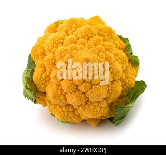 Romanesco broccoli isolato su fondo bianco Foto Stock