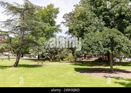 Lawson Park nel centro di Mudgee, New South Wales, Australia Foto Stock