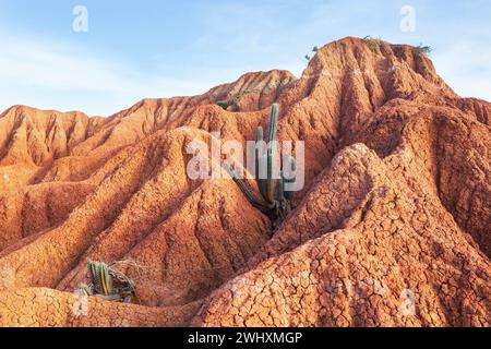 Bizzarre formazioni rocciose nel deserto di Tatacoa, Colombia Foto Stock