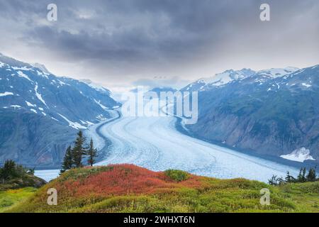 Il ghiacciaio Salmon famoso in tutto il mondo in Alaska, Stati Uniti Foto Stock