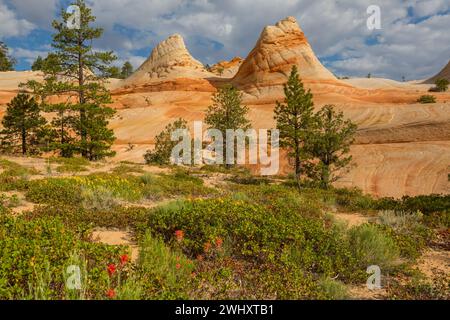 Landschaft nello Utah, Stati Uniti Foto Stock