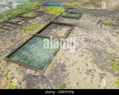 Allevamento di ostriche nella baia di Morlaix, Bretagna Foto Stock