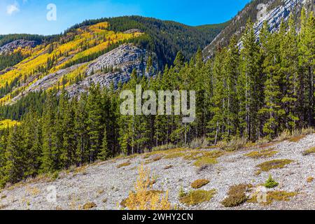 Splendida giornata Foto Stock