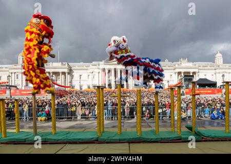 Londra, Regno Unito. 11 febbraio 2024. I ballerini leoni si esibiscono a Trafalgar Square per celebrare il Capodanno lunare cinese a Londra, Regno Unito, l'11 febbraio 2024. Crediti: Stephen Chung/Xinhua/Alamy Live News Foto Stock