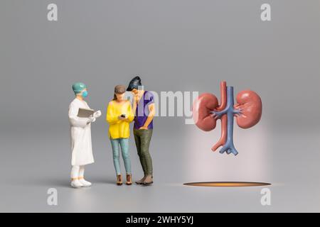 Medico che studia e cura il rene umano, concetto della giornata Mondiale della salute Foto Stock