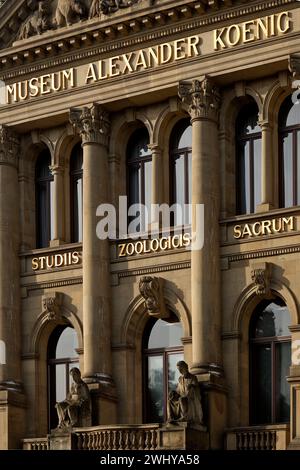 Museo Koenig, Museo di storia naturale, stazione Path of Democracy, Bonn, Germania, Europa Foto Stock