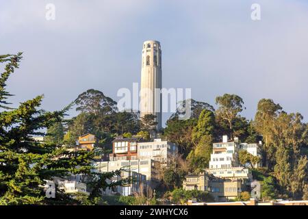 Coit Tower, Pioneer Park, North Beach, San Francisco, California, Stati Uniti Foto Stock