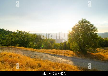 California settentrionale, Backcountry, querce, fienili abbandonati, paesaggi rurali, fascino di campagna, bellezza rustica, vecchie strutture, boschi di querce Foto Stock