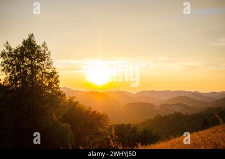 California settentrionale, Backcountry, querce, fienili abbandonati, paesaggi rurali, fascino di campagna, bellezza rustica, vecchie strutture, boschi di querce Foto Stock