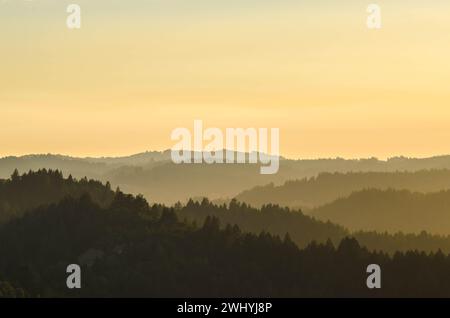 California settentrionale, Backcountry, querce, fienili abbandonati, paesaggi rurali, fascino di campagna, bellezza rustica, vecchie strutture, boschi di querce Foto Stock