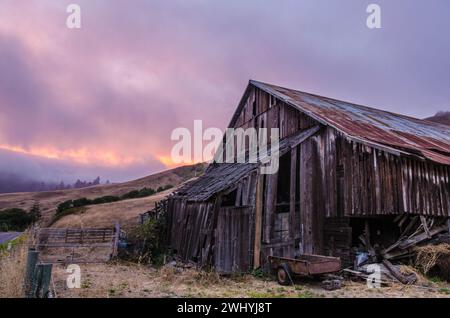 California settentrionale, Backcountry, querce, fienili abbandonati, paesaggi rurali, fascino di campagna, bellezza rustica, vecchie strutture, boschi di querce Foto Stock