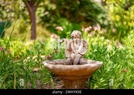 A forma di angelo, bagno degli uccelli, giardino verdeggiante, uccelli, serenità, ornamentale, natura, arredamento all'aperto, visitatori aviari, design angelico Foto Stock