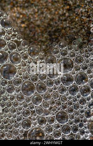 Macrofotografia, bolle di mare, grani di sabbia, vista ravvicinata, texture costiere, dettagli bollicine, bellezza oceanica Foto Stock