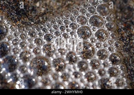 Macrofotografia, bolle di mare, grani di sabbia, vista ravvicinata, texture costiere, dettagli bollicine, bellezza oceanica Foto Stock