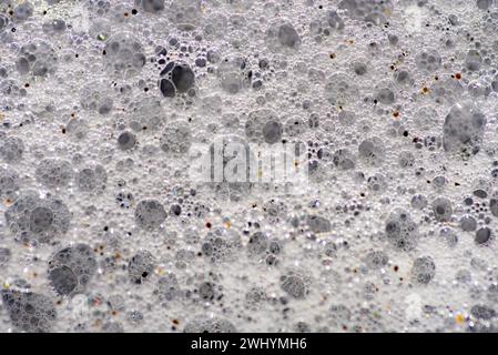 Macrofotografia, bolle di mare, grani di sabbia, vista ravvicinata, texture costiere, dettagli bollicine, bellezza oceanica Foto Stock