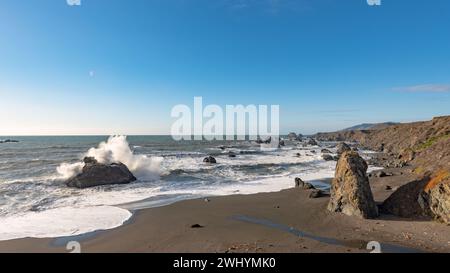 Goat Rock, California settentrionale, gabbiano, onde, bellezza costiera, oceano Pacifico, formazioni rocciose, onde costiere Foto Stock