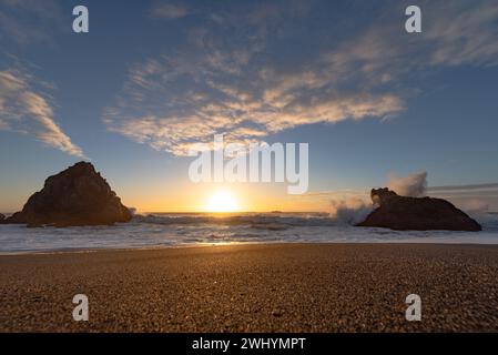 Goat Rock, California settentrionale, gabbiano, onde, bellezza costiera, oceano Pacifico, formazioni rocciose, onde costiere Foto Stock