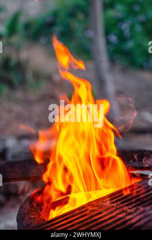 Fiamme, griglia per barbecue, barbecue sul cortile, grigliatura, cucina all'aperto, caminetto, barbecue, barbecue, barbecue, barbecue, cucina estiva Foto Stock