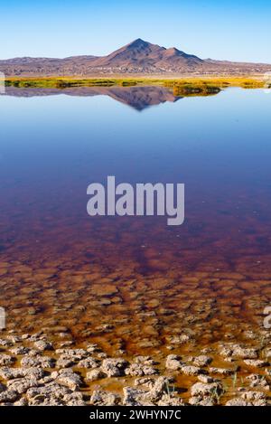 Monte Tecopa, vista panoramica, oasi del deserto, riflesso, perfetto, parco nazionale della Valle della morte, fotografia del paesaggio, catena montuosa Foto Stock