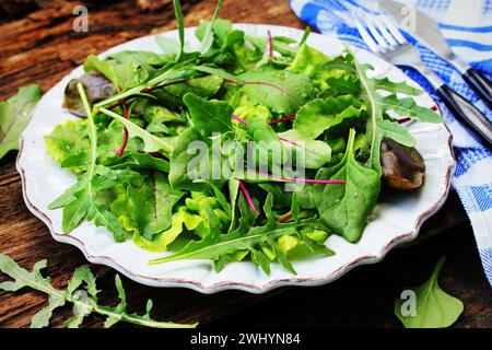 Mescolare le foglie fresche di spinaci neozelandesi, rucola, lattuga, barbabietole per insalata su sfondo di legno scuro. Vista dall'alto Foto Stock