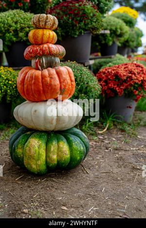 Scenario autunnale con zucche per il prossimo Festival autunnale Foto Stock