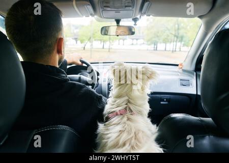 L'uomo e il suo cane che cavalcano nella macchina moderna. Vista posteriore. Foto Stock