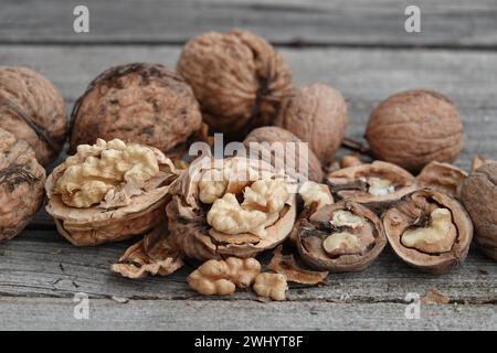 Juglans regia, noce, smistamento e piantine Foto Stock