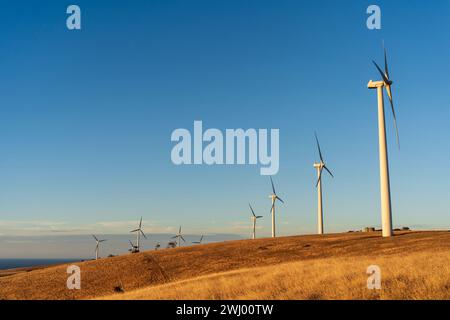 Starfish Hill Wind Farm a Cape Jervis, Australia meridionale Foto Stock