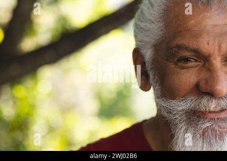 Mezza faccia di uomo anziano birazziale felice con barba lunga sorridente nel giardino soleggiato, spazio fotocopie Foto Stock