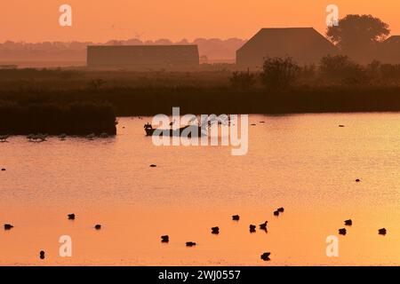 Riserva naturale Hauener Puette al mattino presto, Krummhoern, Frisia orientale, Germania, Europa Foto Stock