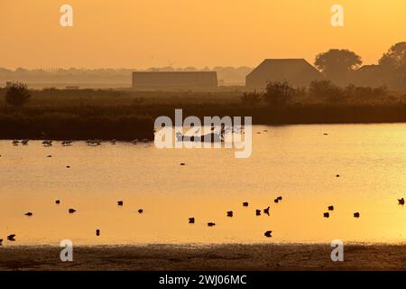 Riserva naturale Hauener Puette al mattino presto, Krummhoern, Frisia orientale, Germania, Europa Foto Stock