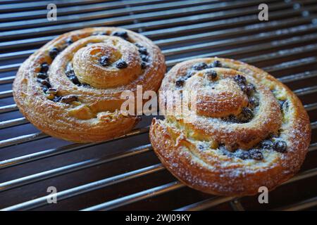 Primo piano pain aux raisins, pasticceria danese raisin swirls Foto Stock