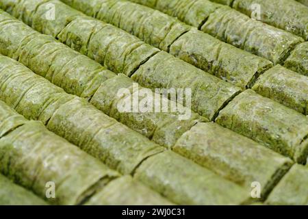 Dolce tradizionale turco, baklava, ripieno di pistacchi schiacciati, sottofondo di cibo astratto Foto Stock