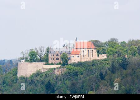 Castello di Mansfeld nel distretto di Mansfeld-SÃ¼dharz in Sassonia-Anhalt Foto Stock