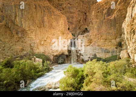 Cascata nel deserto della Giudea Foto Stock