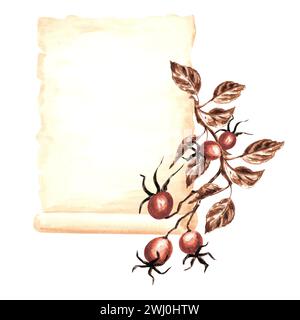 Foglio di carta pergamena scritta a mano, ramo rosehip con frutti e foglie. Materiali di consumo di scrittura vecchi del modello. Illustrazione ad acquerello disegnata a mano. Foto Stock