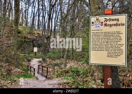 Il castello rovina la fortezza di Regenstein Harz Foto Stock