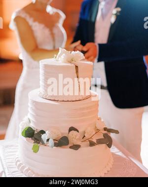 Sposa e sposo tagliano la torta nuziale sul tavolo. Ritagliato. Senza volto Foto Stock