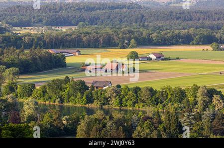 Blick von der Schaffhauser Gemeinde Rüdlingen-Buchberg in Richtung Zürcher Weinland, wo auf einer Ebene bei Flaach Bauernhöfe stehen. (Rüdlingen-Buch Foto Stock