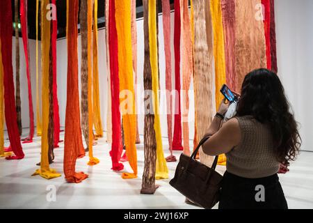 Londra, Regno Unito. 12 febbraio 2024. Un visitatore con "Quipu Austral", 2012, di Cecilia Vicuña in anteprima di "Unravel: The Power and Politics of Textiles in Art", una nuova mostra alla Barbican Art Gallery che esplora il mezzo del tessile. Oltre 100 opere d'arte di 50 professionisti internazionali che dimostrano cuciture, tessitura, intrecciatura, perline e legatura sono in mostra dal 13 febbraio al 26 maggio 2024. Crediti: Stephen Chung / Alamy Live News Foto Stock