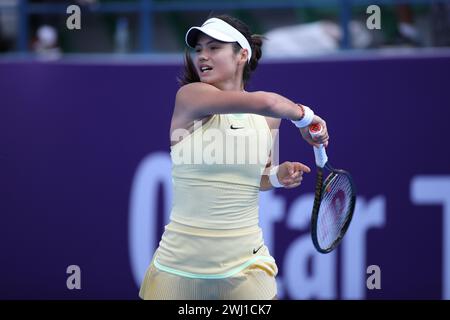 Doha, Qatar. 12 febbraio 2024. DOHA, QATAR - 12 FEBBRAIO: Emma Raducanu della Gran Bretagna in azione contro Anhelina Kalinina dell'Ucraina nel primo round del giorno 2 durante il Qatar TotalEnergies Open, parte dell'Hologic WTA Tour al Khalifa International Tennis and Squash Complex il 12 febbraio 2024 a Doha, Qatar (MB Media) credito: MB Media Solutions/Alamy Live News Foto Stock